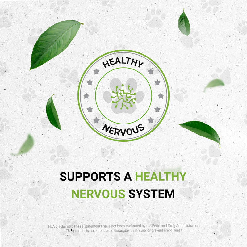 Lion's Anxiety | Natural Herbal Dietary Supplement for Cats | Support Stress Relief in Cats | Alcohol-Free Extract, Ashwagandha, Valerian, Catnip, Chamomile, Hops, Passionflower 2 oz - PawsPlanet Australia