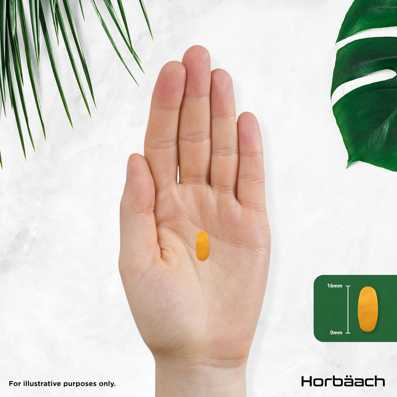 Vitamin B2 Riboflavin 200mg | 120 Vegan Tablets (4 Months Supply) | High Strength Supplement | No Artificial Preservatives | by Horbaach