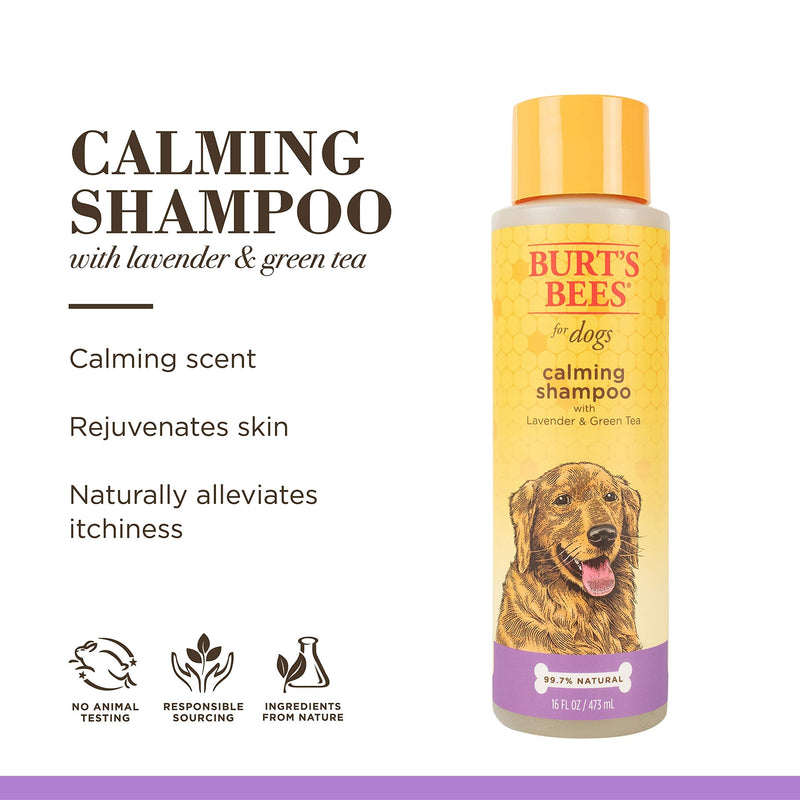 Burt's Bees for Pets Naturally Derived Calming Dog Shampoo with Lavender and Green Tea - Cleansing Lavender Dog Shampoo - Cruelty Free, Made in USA, 16 oz Unscented 16 Fl Oz (Pack of 1) - PawsPlanet Australia