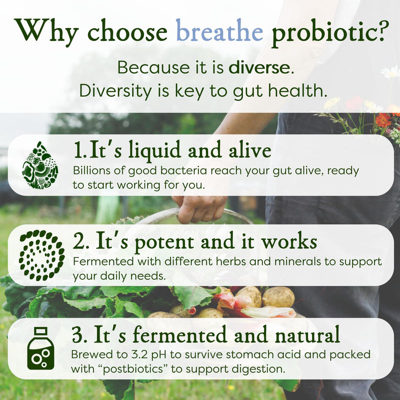 MICROBZ Breathe Liquid Probiotics for Gut Health – Award-Winning Probiotic Supplement with 15 Strains & Fermented Herbs for Respiratory Health – Gluten Free & Vegan Probiotic Drink – 31 Servings 7. Breathe
