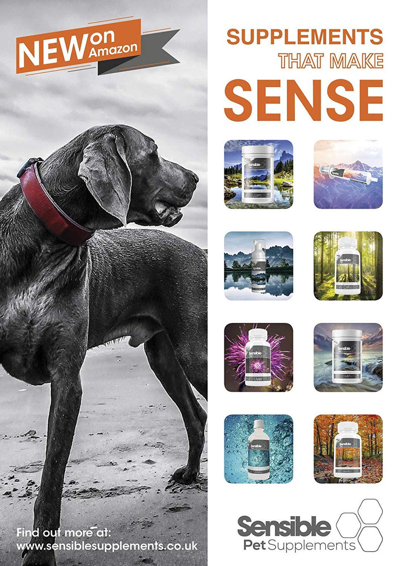Sensible Pet Supplements 'L-Lysine' for Cats. 50ml Gel. (Pack of 2) 50 ml (Pack of 2)