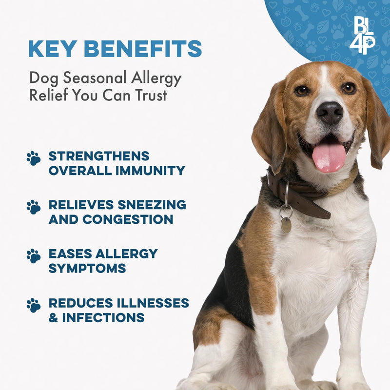 Dog Allergy Relief & Immune Support, Natural Holistic Itch Relief for Dogs, Immune System Guard and Allergy Support, Including Seasonal Allergies, Sneezing, Runny Nose and Itching, 400 Small Pills - PawsPlanet Australia