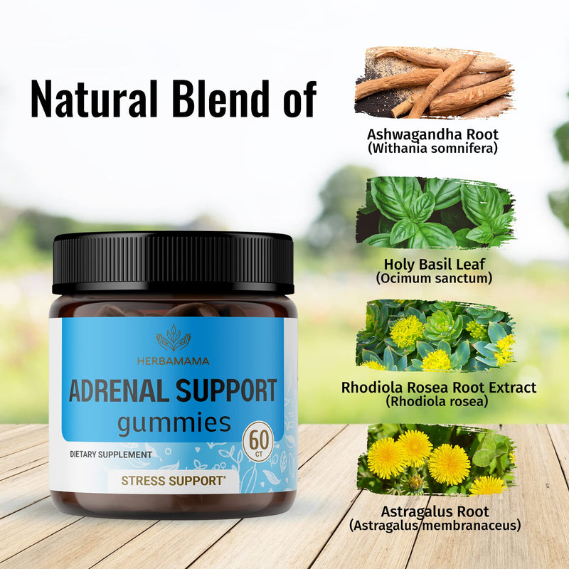 [Australia] - HERBAMAMA Adrenal Support Gummies for Energy & Relaxation w/Ashwagandha, Rhodiola Rosea, Holy Basil & Astragalus Root - 60 Vegan, Non-GMO Chews 