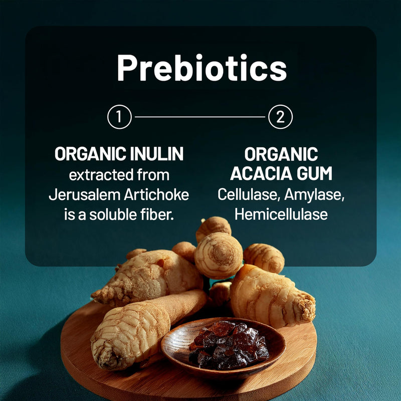 NatureWise Probiotics 60 Billion CFU - 17 Strains + Organic Prebiotics - Immune, Digestive & Gut Health Support for Women & Men - Vegetarian, Gluten-Free, Non-GMO - 60 Capsules[2-Month Supply] 60 Count (Pack of 1)