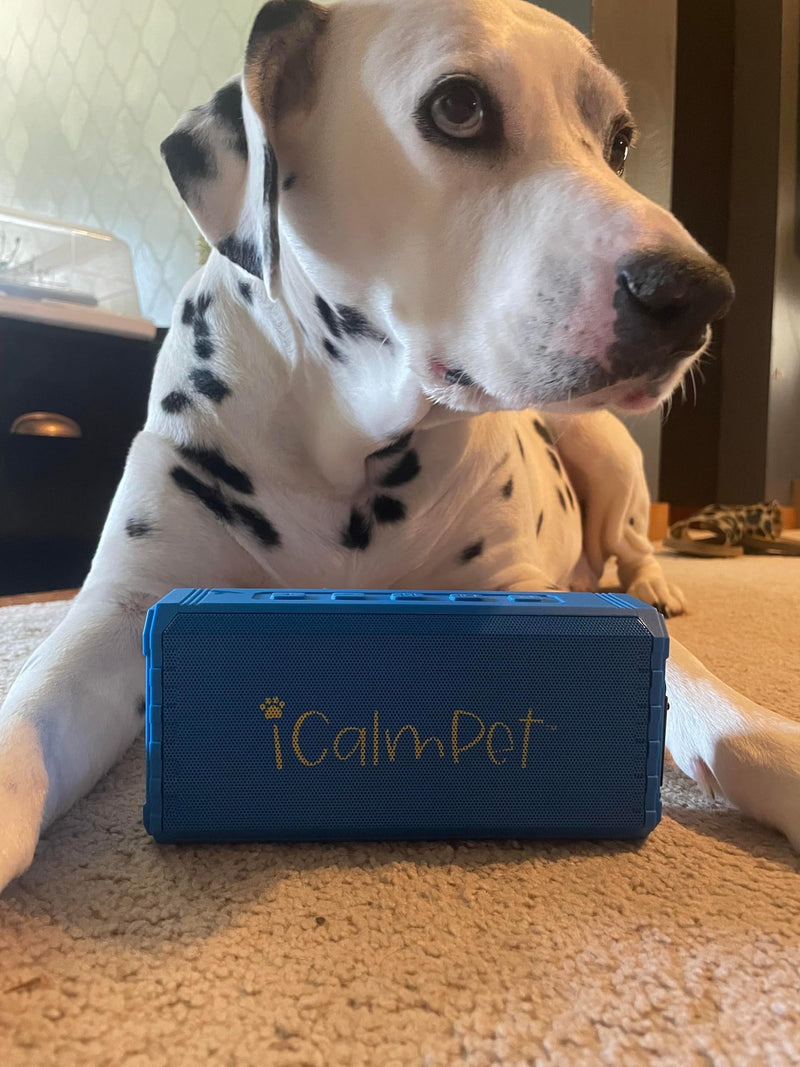 A Calm Variety | iCalmPet Ruff 'n Ready Portable Speaker with 3-hr MicroSD Dog Calming Classical and Reggae Music - PawsPlanet Australia