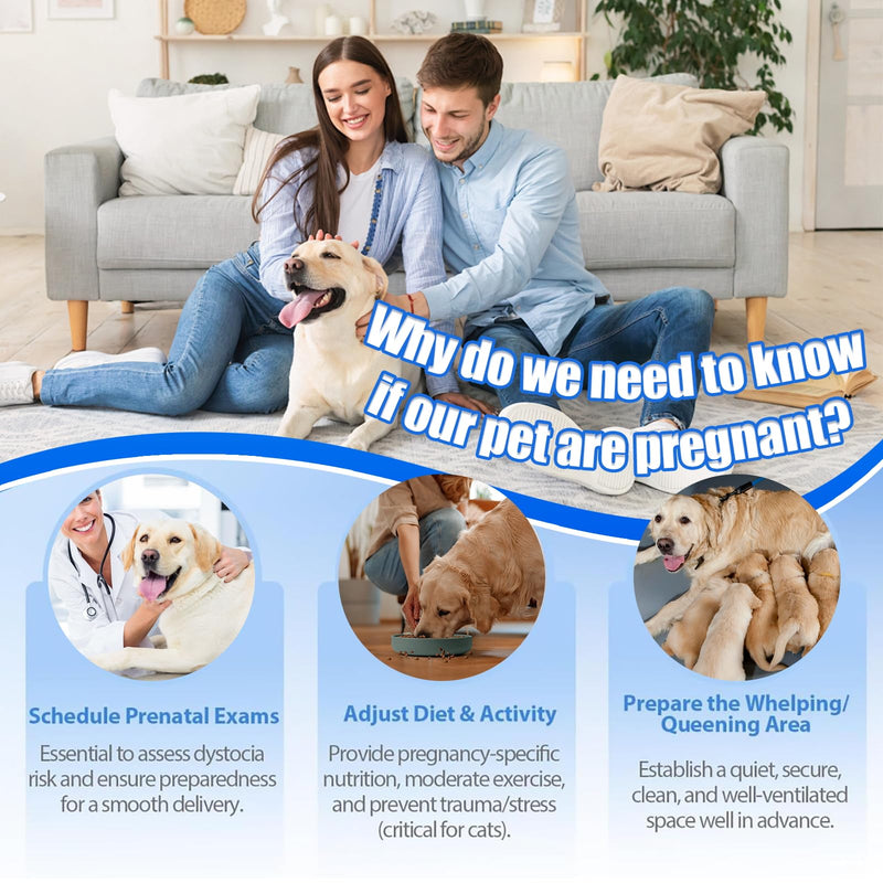 Dog & Cat Pregnancy Urine Test Kit – 5-Minute Home Urine Strips, 99% Accurate, Painless No Blood Draw – Easy for Pet Owners & Breeders
