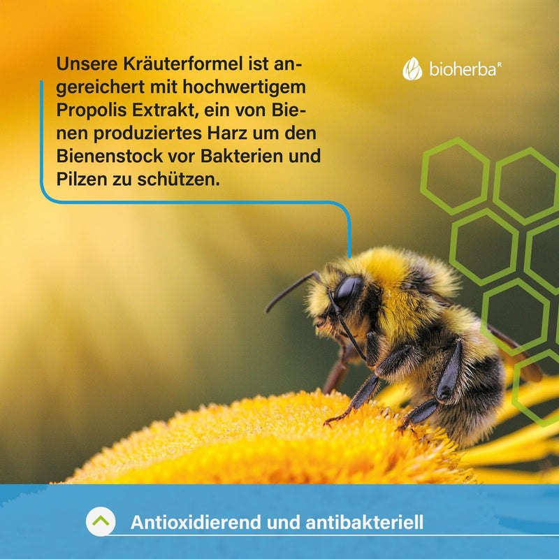 [Australia] - BIOHERBA throat spray broncho with propolis extract 50 ml - natural throat spray - cough suppressant with ginger + vitamin C and plant extracts, supports immune system, PZN: 17188640 1 piece 