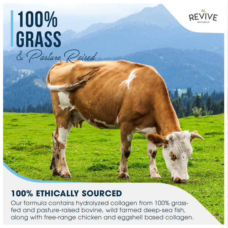 Revive Naturals Multi Collagen Protein Capsules - Types I, II, III, V & X - Hydrolysed Grass Fed Bovine, Wild Caught Marine & Free-Range Chicken, Made with Hyaluronic Acid & Vitamin C, 120 Caps