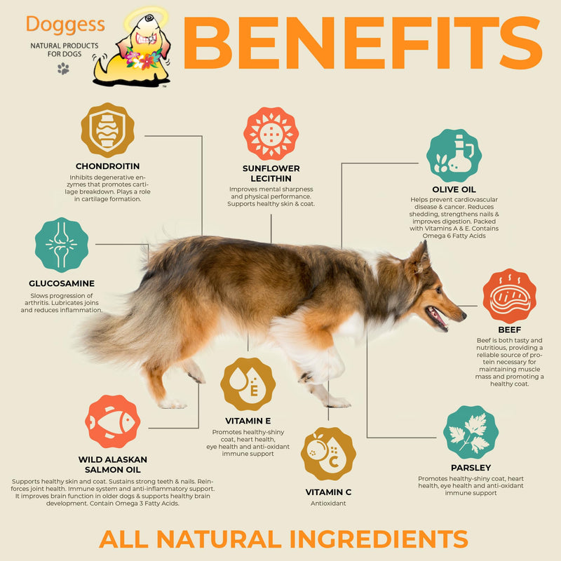 Dressing Best Hip and Joint Supplement for Dogs, Glucosamine & Chondroitin/Joint Health/Salmon Oil for Dogs Skin and Coat Health, Delicious Beef Gravy Flavor - 16 Oz Pack of 1 16 ounce Liquid Beef Gravy Supplement - PawsPlanet Australia