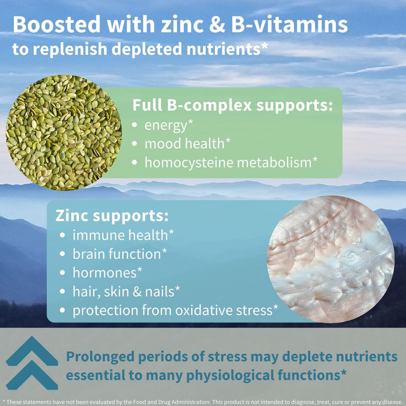 [Australia] - Advanced Ashwagandha KSM-66, L-Theanine & Magnesium, Clean Label, Multi Action Adaptogen Complex for Stress Support with Zinc & B Vitamins, 60 Vegan Capsules, by Igennus… 60 Count (Pack of 1) 