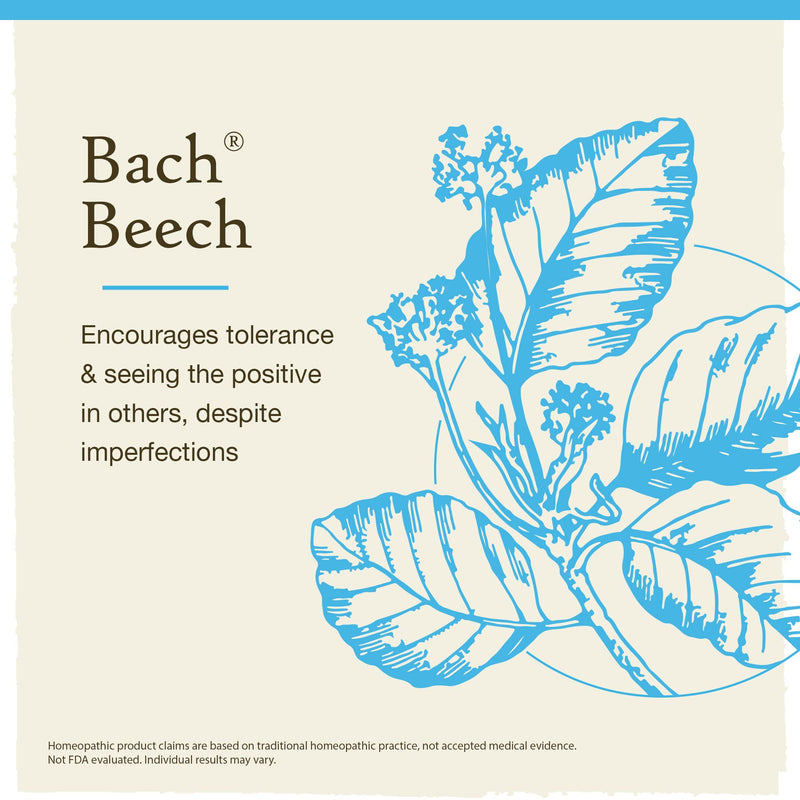 [Australia] - Bach Original Flower Remedies, Beech for Tolerance (Non-Alcohol Formula), Natural Homeopathic Flower Essence, Holistic Wellness and Stress Relief, Vegan, 10mL Dropper 