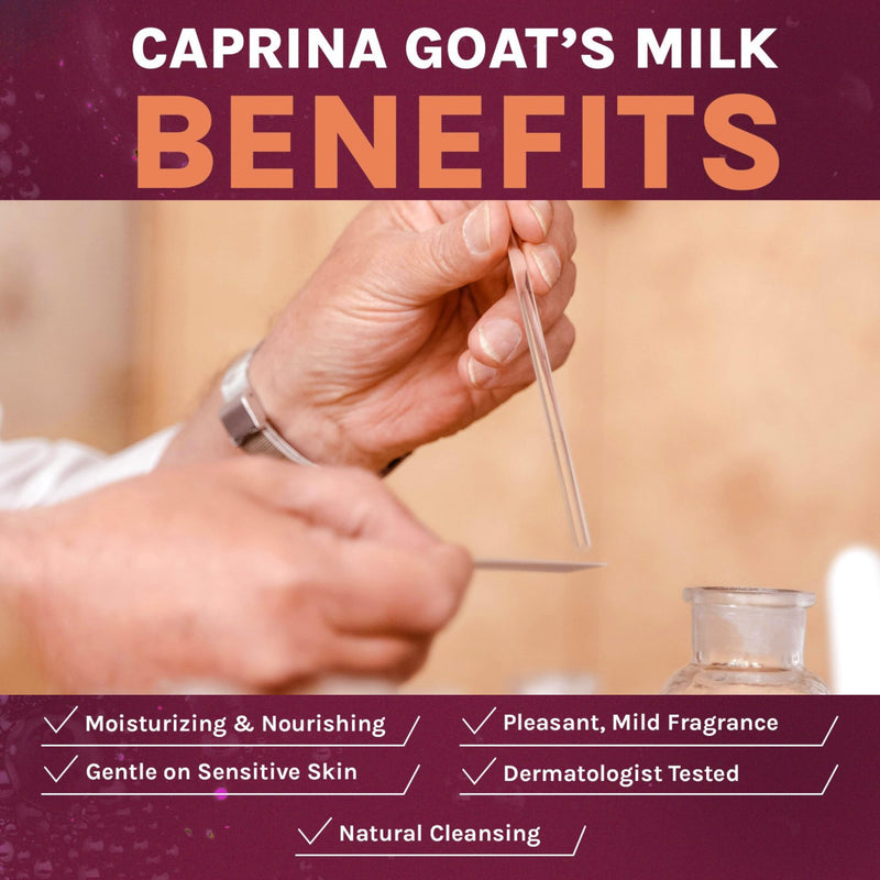 Caprina by Canus Caprina Bar Soap, Shea Butter, 3.2 Oz (6 Pack), With Fresh Canadian Goat Milk, Vitamin A, B3, Potassium, Zinc, and Selenium, Shea Butter, 6 Count
