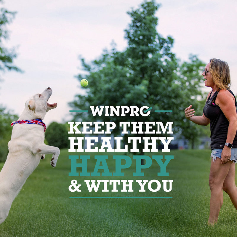 WINPRO Dog Probiotic Powder Meal Topper, Spray Dried Plasma with Prebiotics and Probiotics for Digestive Support and Gut Health for Dogs, All Breeds, Ages, and Sizes, 60 Scoops, Made in USA - PawsPlanet Australia