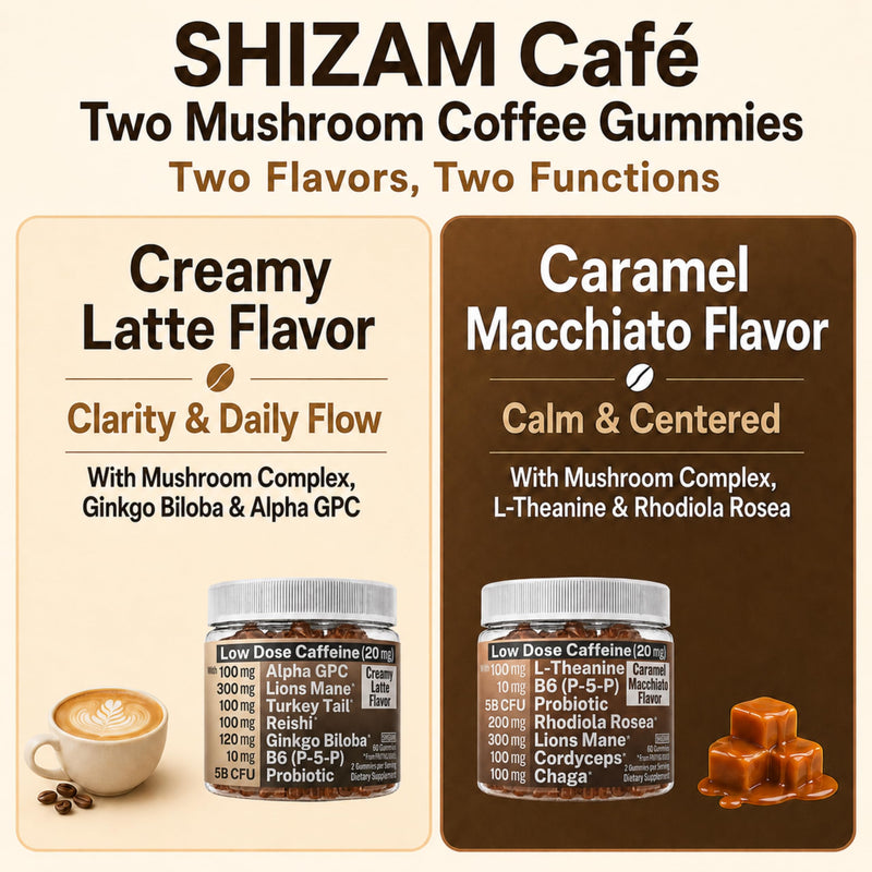 Mushroom Coffee Gummies with Lion’s Mane, Ginkgo Biloba, Alpha GPC & B6 P5P | Ginkgo Biloba, Alpha GPC, Mushroom Complex (Lion's Mane, Turkey Tail, Reishi), Probiotic, Vitamin B6 (P-5-P)