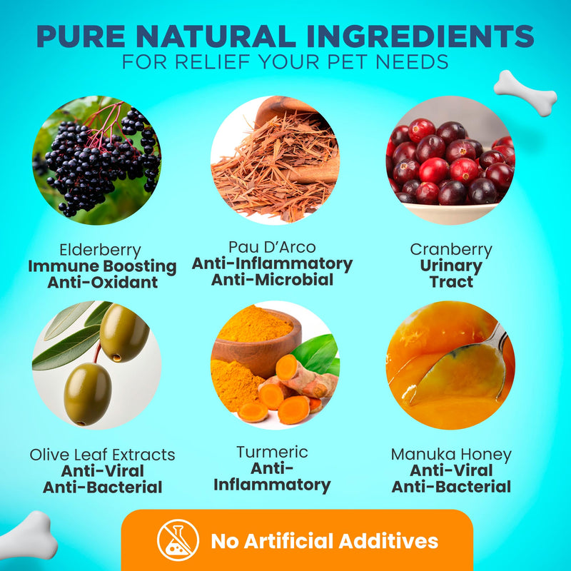 Natural Antibiotics for Dogs – Gentle, Effective Dog Antibiotic - Provides Dog Allergy Relief and Dog Itching Skin Relief - Premium Antibiotics for Dogs with Bacon Flavor - PawsPlanet Australia