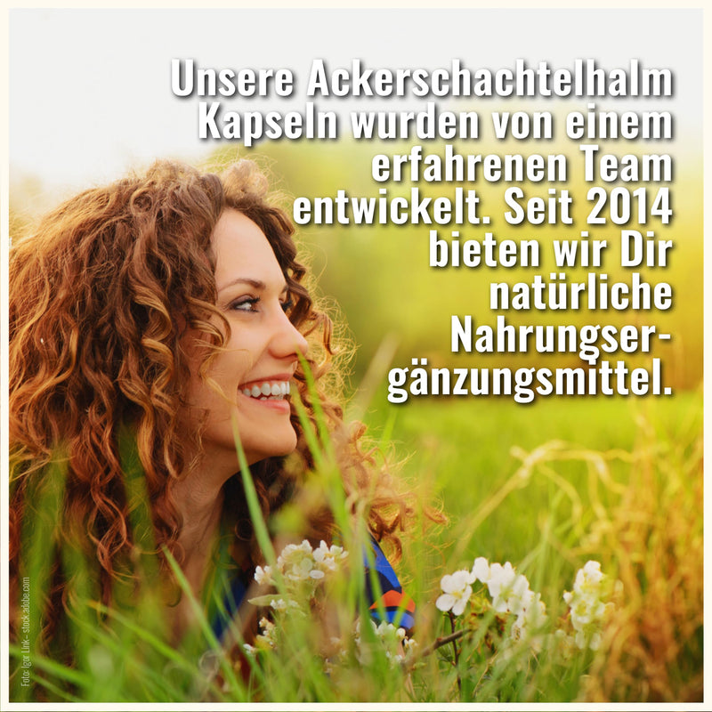 [Australia] - Field horsetail capsules - 500mg per capsule - 180 capsules - horsetail - vegan - field horsetail extract 