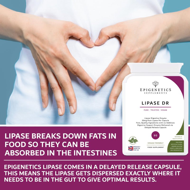 Lipase DR (Delayed Release) 50mg | Digestive Enzyme Supplements for Gut Support | 90 Vegan Friendly Delayed Release Capsules UK Made | 3 Months Supply