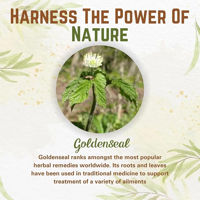 Goldenseal Root Powder 7gm = 1/4 oz. **USA grown & packaged** 0.25 Ounce (Pack of 1)