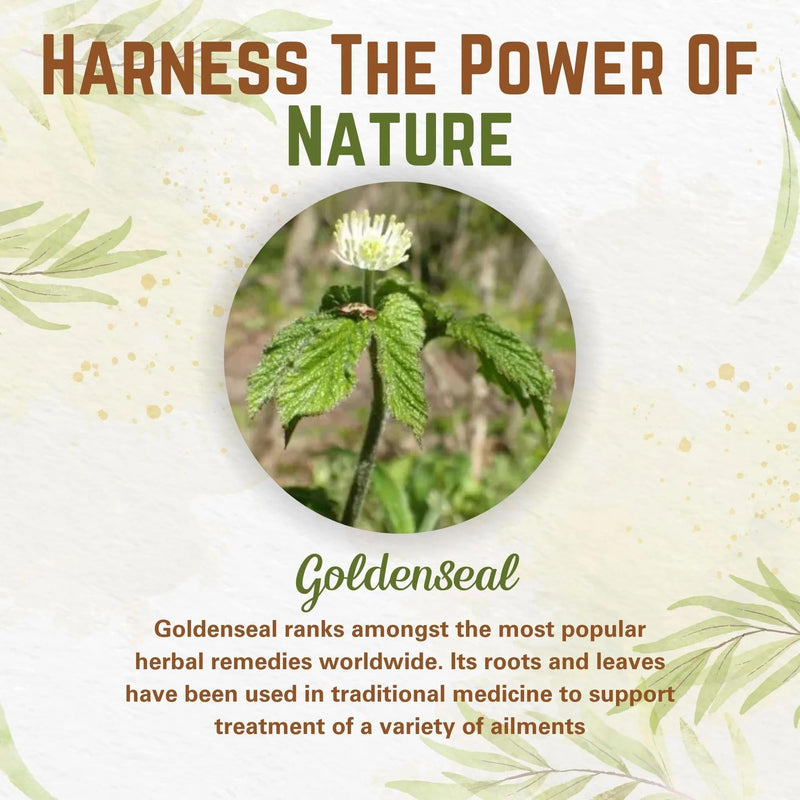 [Australia] - Goldenseal Powder - 3.5 oz, 100 Servings *3rd Party Tested* Pure Natural Goldenseal Root Powder Supplement 