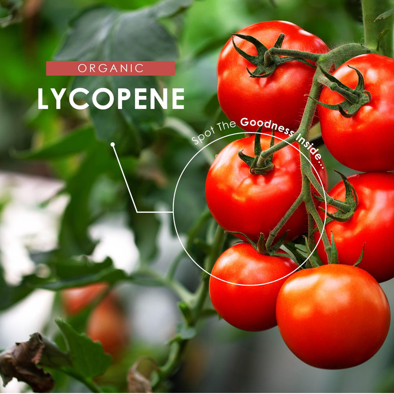 Organic Lycopene 15mg - Bio-Fermented Tomato Extract – 90 Vegan Capsules (3 Months Supply) – Resealable and Recyclable Pouch – By Alpha01