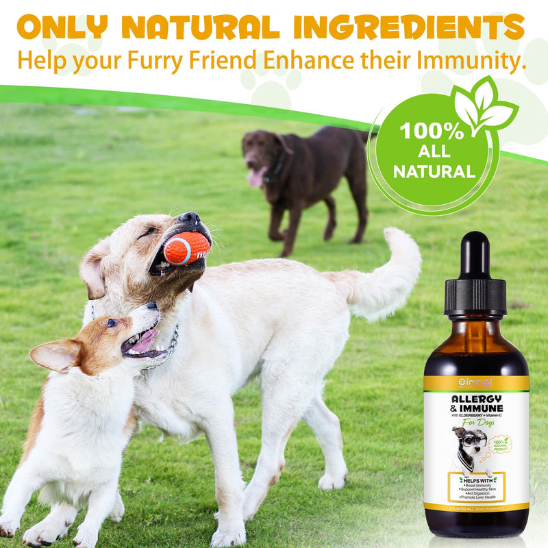 Allergy Relief Drops for Dogs, Allergy Immune Booster Treatment for Seasonal Allergies & Digestive, Healthy Immune System, Dog Supplement with Milk Thistle and Turmeric, Bacon Flavor - 60ml / 2 fl.oz - PawsPlanet Australia
