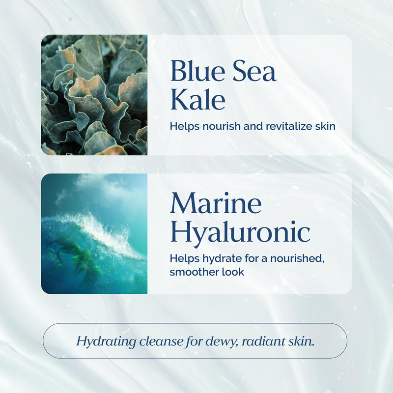 Hyaluronic Gel Facial Cleanser with Blue Sea Kale & Marine Hyaluronic – Hydration, Clarifying, Smoothing Replenishment – Vegan, Paraben-Free, 8 fl oz