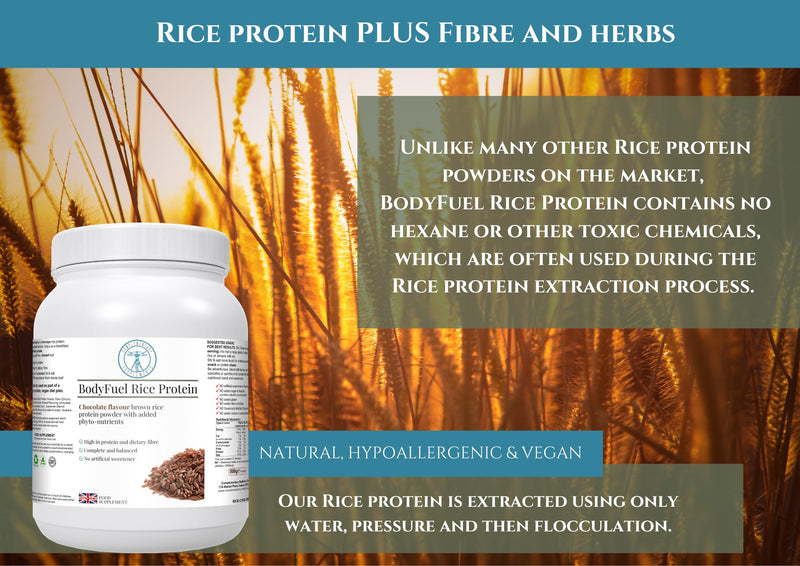 BodyFuel Brown Rice Protein Powder Plus Chicory, Green Tea & Guarana Seed Extract | Hypoallergenic | NO GMOs | Vegan | 500g