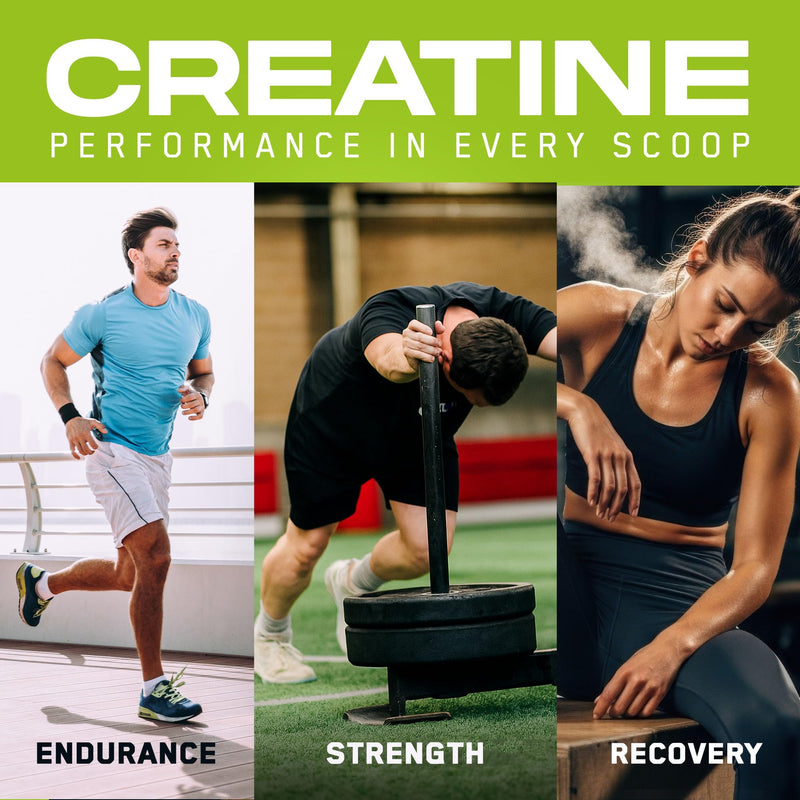Applied Nutrition – Creatine Monohydrate – Made with Creapure® – Best Premium-Grade Creatine – Best Performance & Strength Support – Increased Energy & Endurance – (250g – 50 Servings) (Unflavoured)