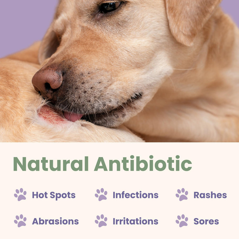Glacier Peak Holistics Colloidal Silver - Natural Antibiotic Spray for Dogs & Cats, Holistic Remedy for Internal & External Use, Anti-Itch, Wound Healing, and Skin Irritation in Pets - 2oz - PawsPlanet Australia