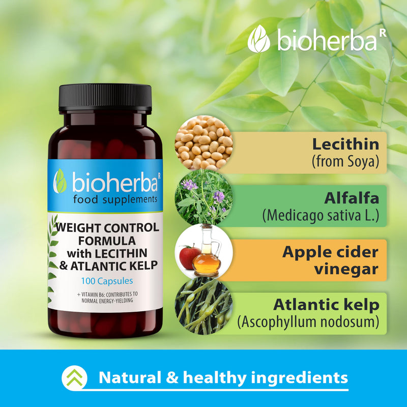 Lecithin 4-in-1 Complex – 100 Capsules | with Alfalfa, Apple Cider Vinegar, Kelp & Vitamin B6 – by BIOHERBA