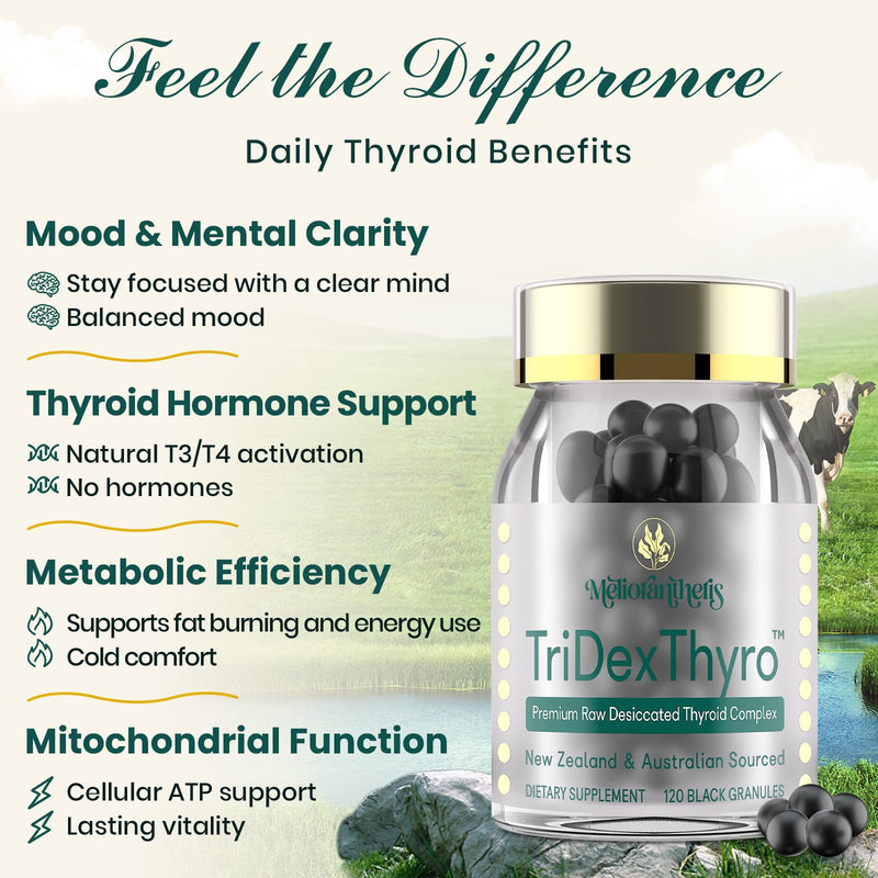 [Australia] - Thyroid Supplement ‚Äì TriDexThyro‚Ñ¢ Raw Desiccated Thyroid Complex 375 mg with Bovine, Porcine & Ovine ‚Äì120 Capsules for Women and MenÔºà1 PackÔºâ 3.37 Ounce (Pack of 1) 
