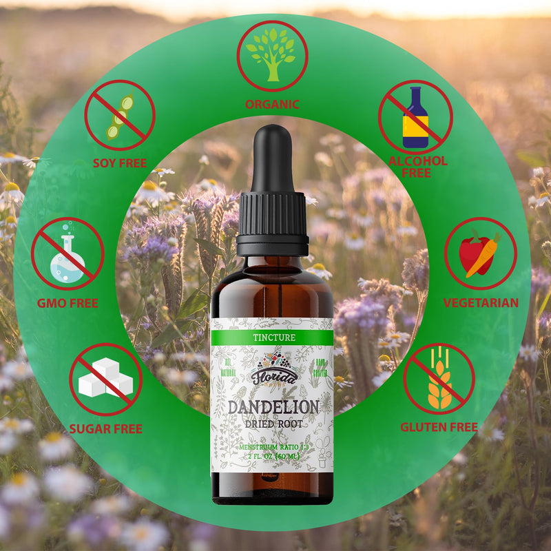 [Australia] - Dandelion Root Tincture Organic Dandelion Extract (Taraxacum Officinale) Health Supplement, Non-GMO in Cold-Pressed Organic Vegetable Glycerin 2 oz, 685 mg 