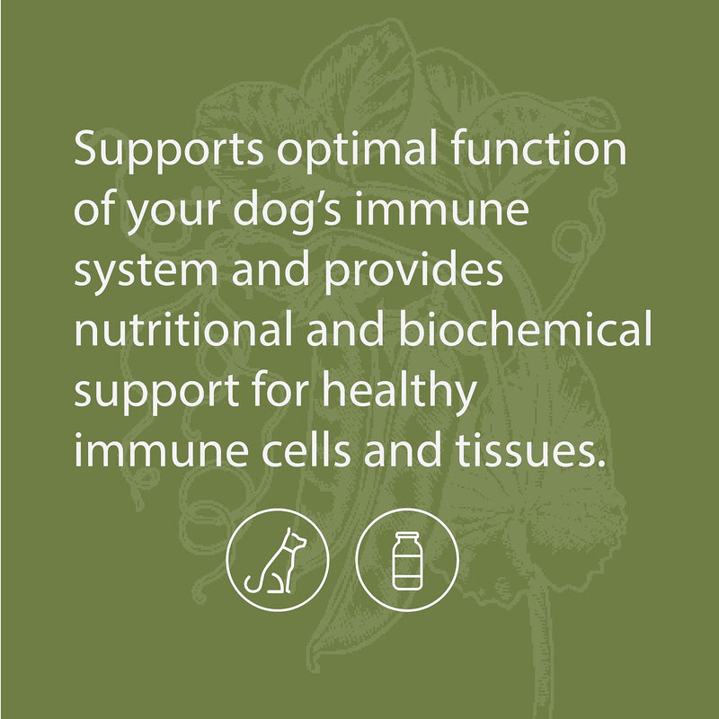 Standard Process Canine Immune System Support - Immune Support Supplement for Dogs - Powder Canine Supplement Aids Overall Health & Wellness - Immunity Support Supplement with Zinc & Kelp - 30 g 1.1 Oz (Pack of 1) - PawsPlanet Australia