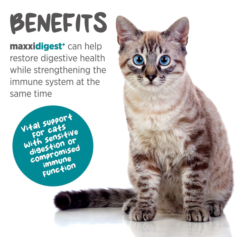 maxxidigest+ Probiotic & Prebiotic Powder Supplement - Digestive & Immune Support for Cats, 7oz 7 oz - PawsPlanet Australia
