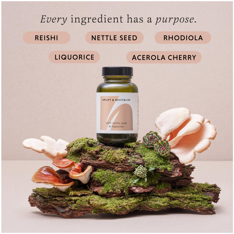 Nettle Seed & Reishi Supplement – Uplift & Revitalise 60 Capsule Jar - Rhodiola Rosea Capsules - Reishi Mushroom Capsules - Nettle Extract Supplement - Natural Energy & Fatigue Support for Adults