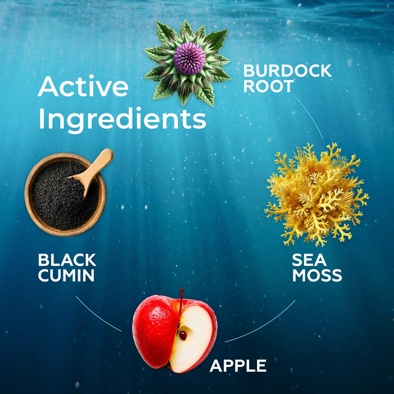 TrueSeaMoss Sea Moss Liquid Drops – Apple, 30 Servings | Irish sea moss liquid drops with black cumin seed oil, bladderwrack, burdock root, vitamin C & zinc. Apple flavor