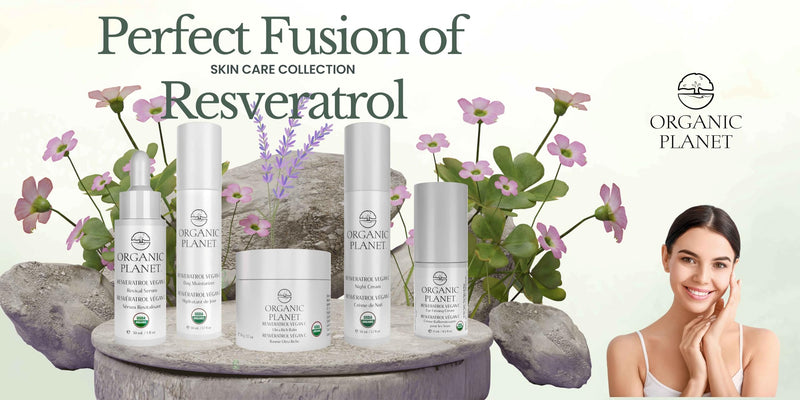 Resveratrol Vegan C Night Cream – USDA Certified Organic Anti-Aging Face Moisturizer – 100% Waterless Nightly Repair for Wrinkles & Dark Spots – Plant-Based Brightening – 1.7 fl oz