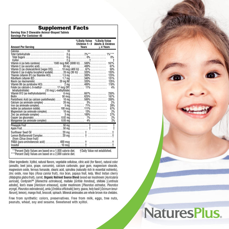 NaturesPlus Animal Parade Sugar-Free Children's Multivitamin - Assorted Cherry, Grape & Orange Flavors - 90 Chewable Tablets - 45 Total Servings 90 Count (Pack of 1)