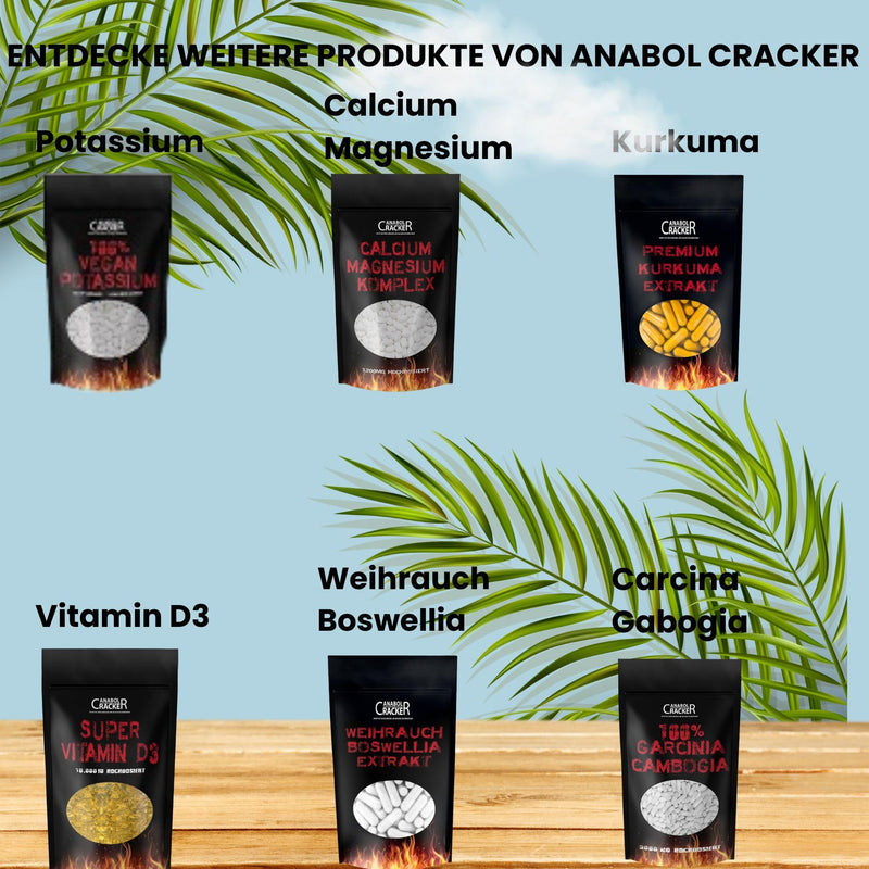 [Australia] - 600 tablets Vital Balance, Glucosamine Chondroitin Msm Vitamin C 3000mg high dose, German production 