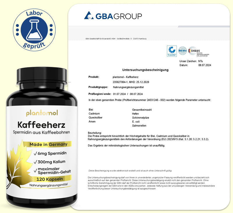 [Australia] - 120 high-dose spermidine capsules made from coffee bean extract with spermidine 6mg + potassium & vitamin B1-2 capsules/day - free from wheat germ extract - gluten-free & vegan - new 