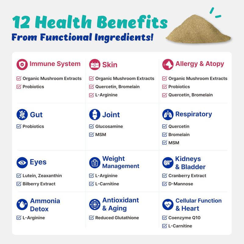 Wellness&Skin Support Echo for Kitty - 12 Health Benefits/Itching, Atopy, Allergy, Inflammation (54g) - PawsPlanet Australia