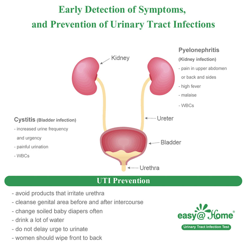 Easy@Home Urinary Tract Infection Test Strips 50 Individual Pack, Urine Test Strips for UTI Infections, Urinalysis Kit, Detect Leukocytes and Nitrites (UTIPOUCH-50P) | Individual Packing Urine Test Strips for UTI Infections, Urinalysis Kit, Detect Leuk...