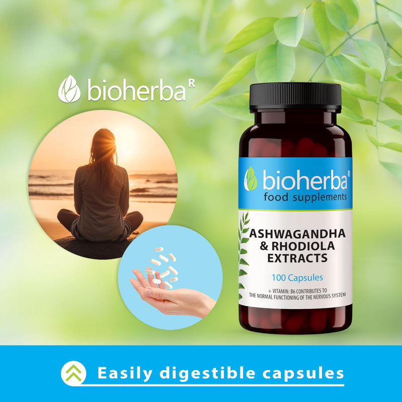 Ashwagandha Rhodiola Complex – 100 Capsules | Adaptogen Formula with B-Vitamins for Energy and Mental Performance by BIOHERBA 100 pcs