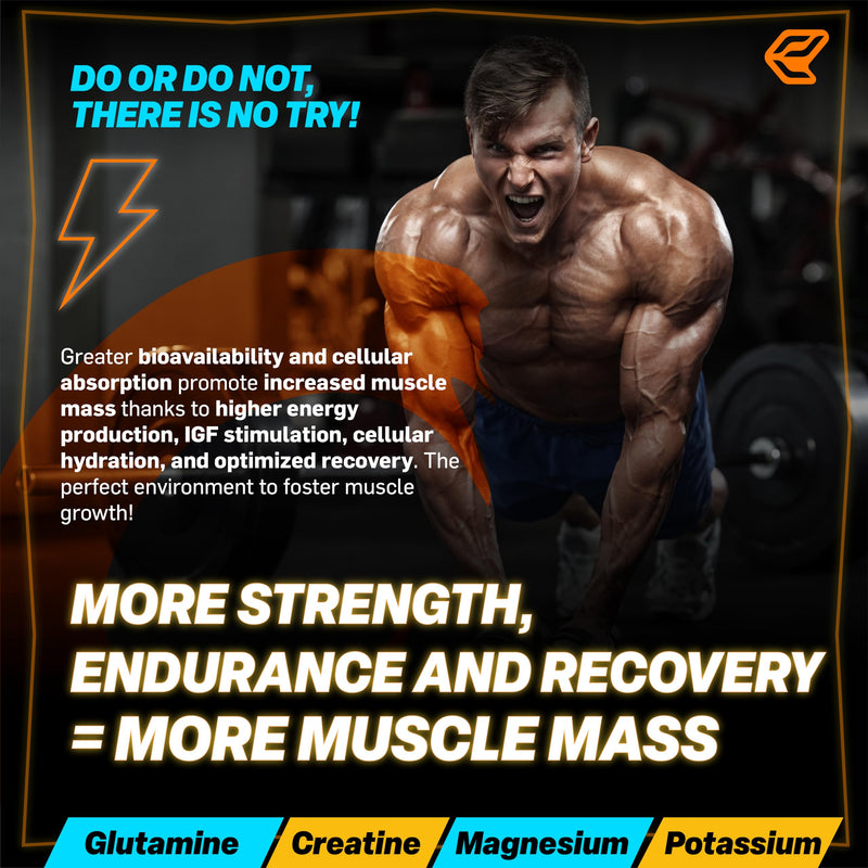 Italian Elite® Creatine Extreme, Creatine with Glutamine, Arginine, Citrulline, VIT C, Magnesium, Potassium. Pre-Post Workout 120 tabs Micronized Monohydrate with Rapid Muscle Absorption.