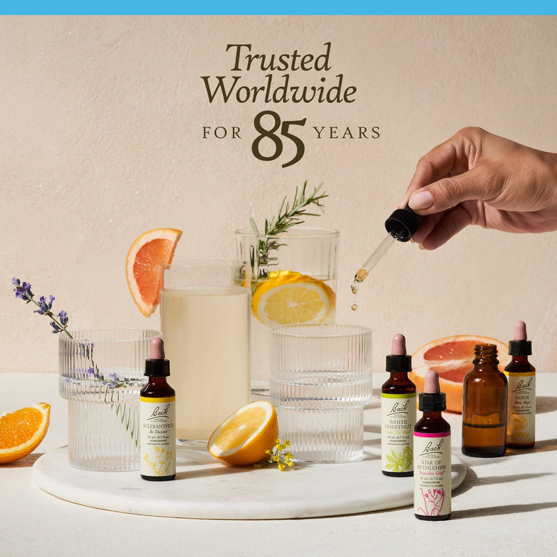 [Australia] - Bach Original Flower Remedies, Chicory for Unconditional Love (Non-Alcohol Formula), Natural Homeopathic Flower Essence, Holistic Wellness and Stress Relief, Vegan, 10mL Dropper 