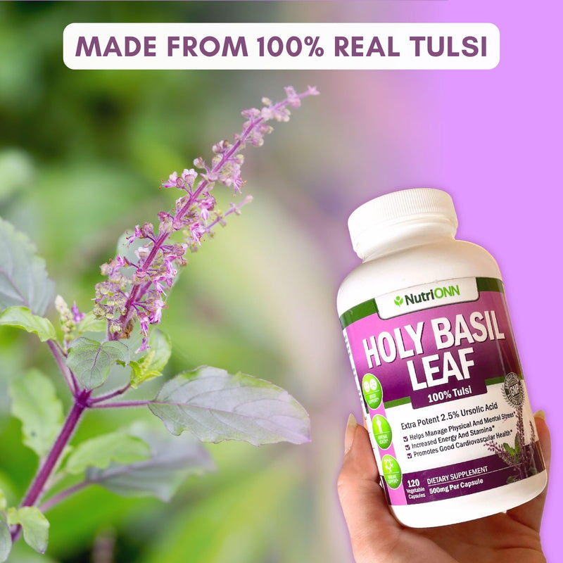 [Australia] - Holy Basil Leaf Capsules - 500mg - 2.5% Ursolic Acid - 120 Vegan Capsules - Real Tulsi Extract Supplement - Positive Mindset - Adaptogenic & Ayurvedic Herb 