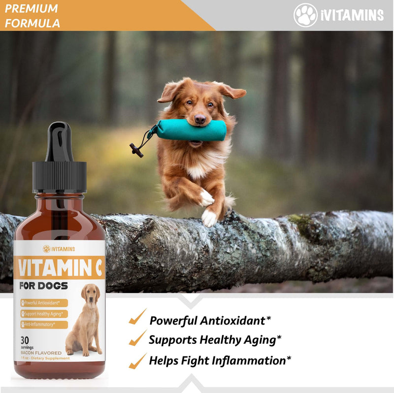 Vitamin C for Dogs | Helps with Improving Immune Health | Vitamin C for Dogs Liquid | Dog Immune Support | Dog Immune and Allergy Supplement | Dog Immune Booster | 1 oz Bacon Flavor - PawsPlanet Australia