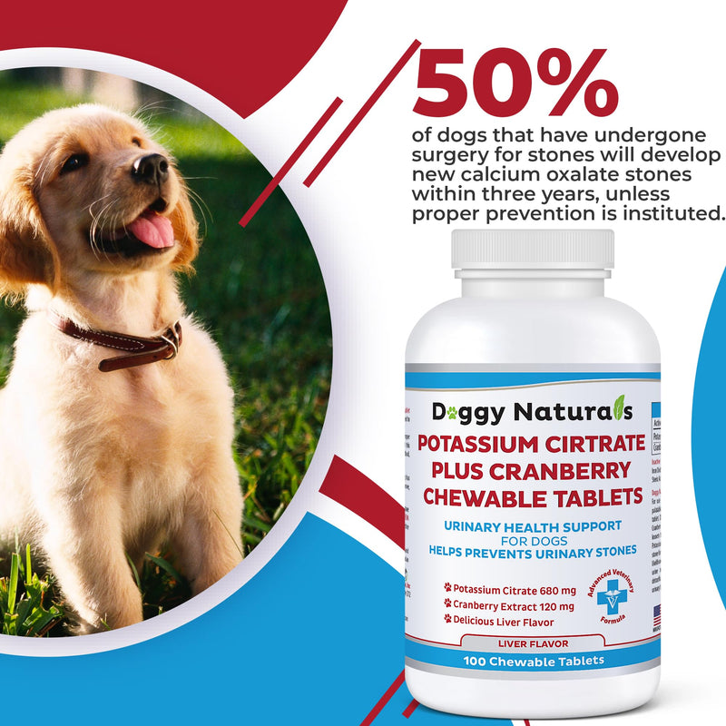 Potassium Citrate Plus Cranberry Supplement for Dogs (100 Tablets) - Urinary Tract Support-Helps Deter Formation of Calcium Oxalate Stones - Deters Bladder & Kidney Stones (Made in U.S.A) - PawsPlanet Australia