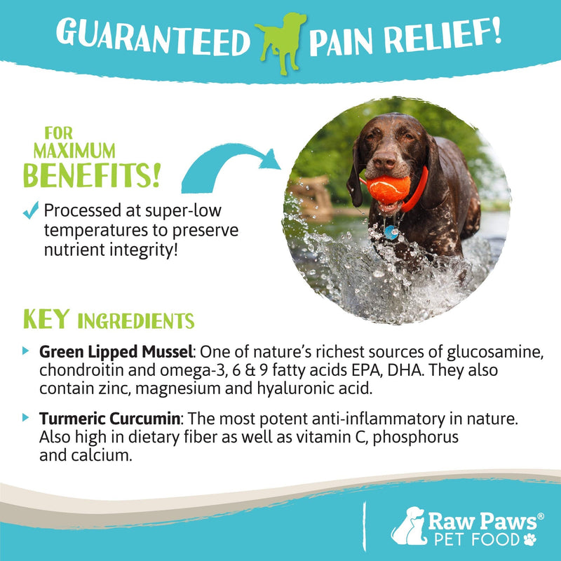 Raw Paws Green Lipped Mussel Hip and Joint Supplement for Dogs & Cats, 10-oz Powder - Green Lipped Mussels for Dogs - Natural Chondroitin Glucosamine for Dogs & Cats - Dog Joint Pain Relief for Dogs - PawsPlanet Australia