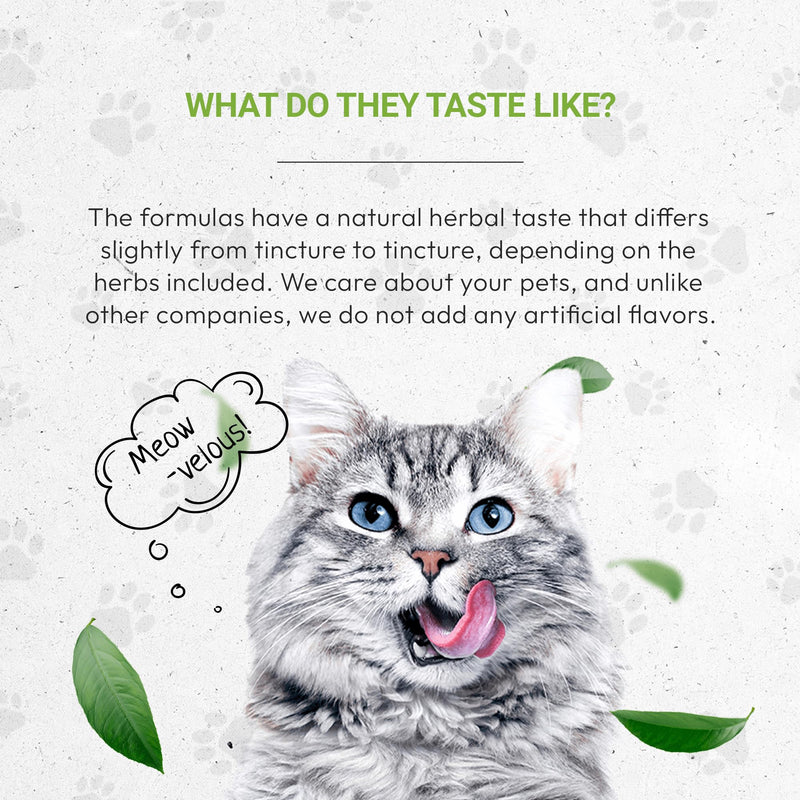 Lion's Anxiety | Natural Herbal Dietary Supplement for Cats | Support Stress Relief in Cats | Alcohol-Free Extract, Ashwagandha, Valerian, Catnip, Chamomile, Hops, Passionflower 2 oz - PawsPlanet Australia
